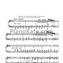 Ноты Ф. Лист - Большая концертная фантазия на темы из оперы `Сомнамбула` (S.393/3) - предпросмотр