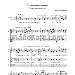 Ноты Яков Дубравин - В сыром бору тропина (Обработка русской народной песни) - предпросмотр