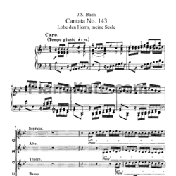 Ноты И. Бах - Кантата №143 "Labe den hern, meine seele" (BWV 143) - предпросмотр