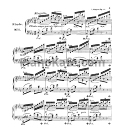 Ноты Ш. Майер - 2 больших концертных этюда (Op. 73) - предпросмотр