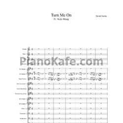 Ноты David Guetta ft. Nicki Minaj - Turn Me on - предпросмотр