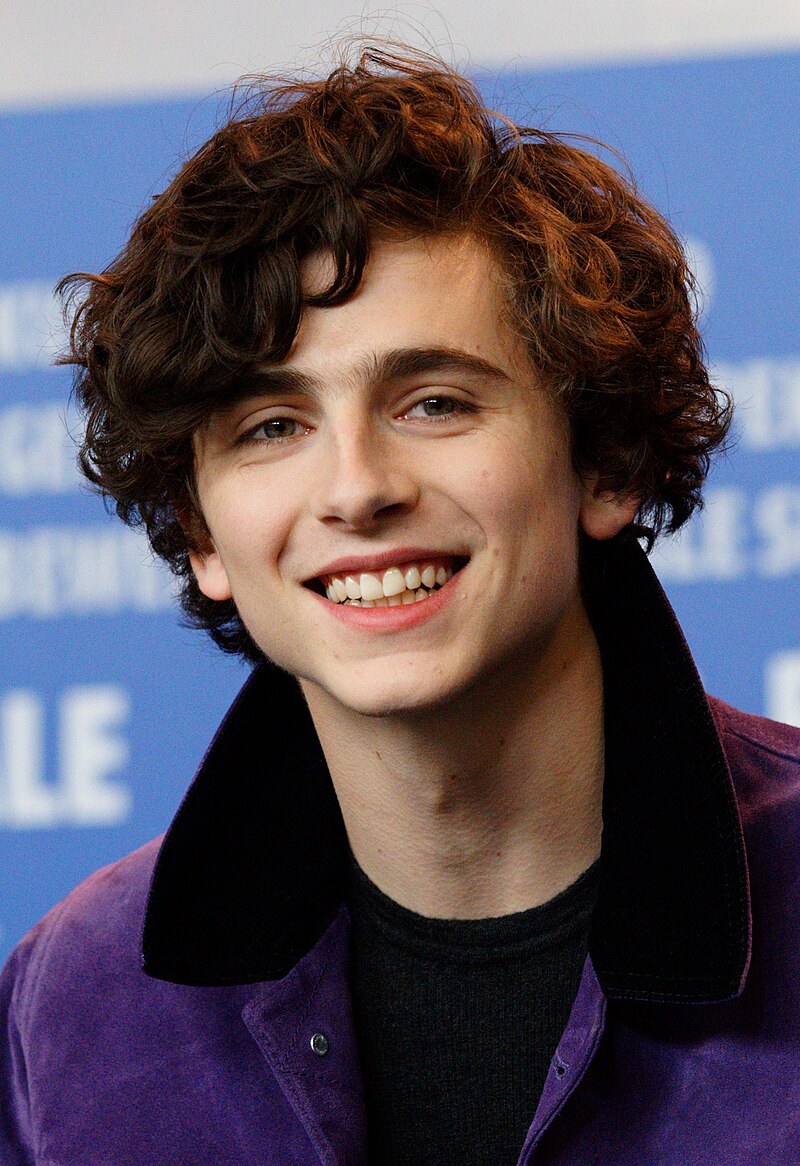 Timothee Chalamet — PianoKafe.com