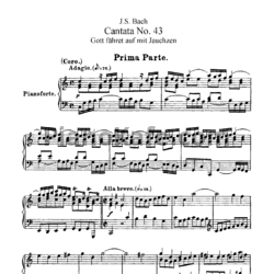 Ноты И. Бах - Кантата №43 "Gott fahret auf mit jauchzen" (BWV 43) - предпросмотр