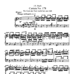 Ноты И. Бах - Кантата №178 "Wo gott der herr nicht bet uns halt" (BWV 178) - предпросмотр