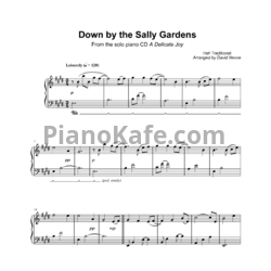 Ноты David Nevue - Down by the Sally Gardens - предпросмотр