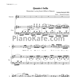 Ноты Gaetano Donizetti - Quanto e bella - предпросмотр