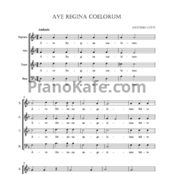 Ноты Antonio Lotti - Ave Regina coelorum