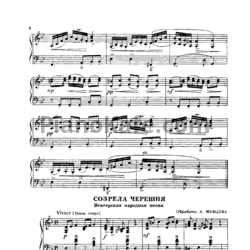 Ноты А. Живцов - Созрела черешня (Венгерская народная песня) - предпросмотр