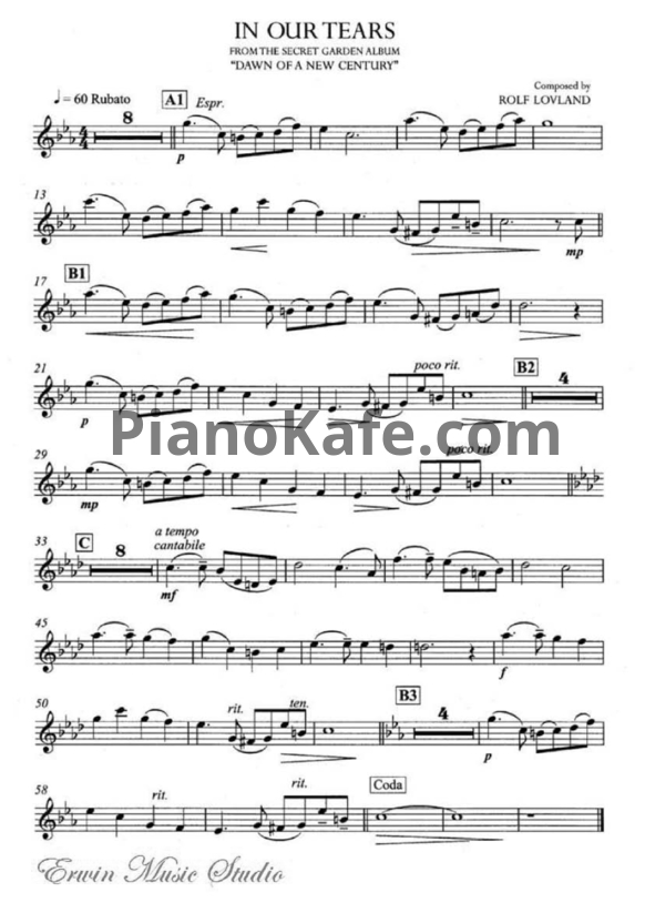Ноты Secret Garden - In Our Tears (для скрипки) - PianoKafe.com