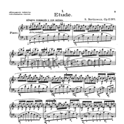Ноты С. Борткевич - Десять этюдов (Op. 15) - предпросмотр
