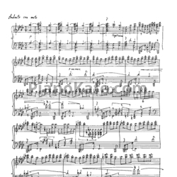 Ноты П. Чайковский - Симфоническая фантазия "Буря". Обработка Эдуарда Бойко - предпросмотр