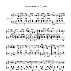 Ноты Виктор Денисов - Ехал казак за Дунай (Обработка для гармони)