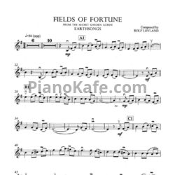 Ноты Secret Garden - Fields of fortume (для пианино и скрипки) - предпросмотр