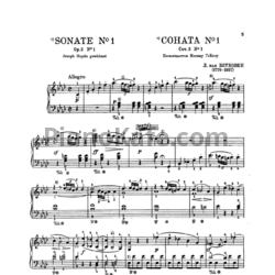 Ноты Людвиг ван Бетховен - Сонаты для фортепиано под редакцией Гольденвейзера - предпросмотр