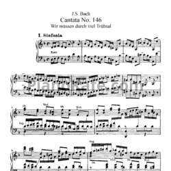 Ноты И. Бах - Кантата №146 "Wir mussen durch viel trubsal" (BWV 146) - предпросмотр
