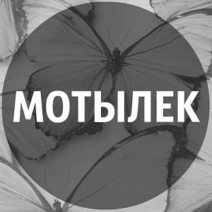Ноты Макс Корж - Мотылек (Аккомпанемент)