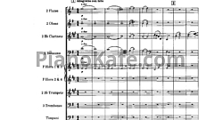 Концерт для скрипки с оркестром ми минор (Партитура, Op. 28)