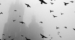 Towards the beloved city, waltz no.4, h-moll