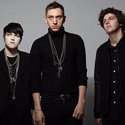 The XX