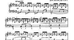13 пьес для фортепиано (Ор. 76)