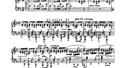 Этюд-картина d-moll (Op. 33, №5)
